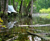 Nube Hammock Shelter