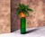 Self-Watering Bottle Planter Self-Watering Bottle Planter