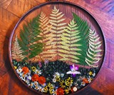 Preserved Botanicals Hanging Terrariums