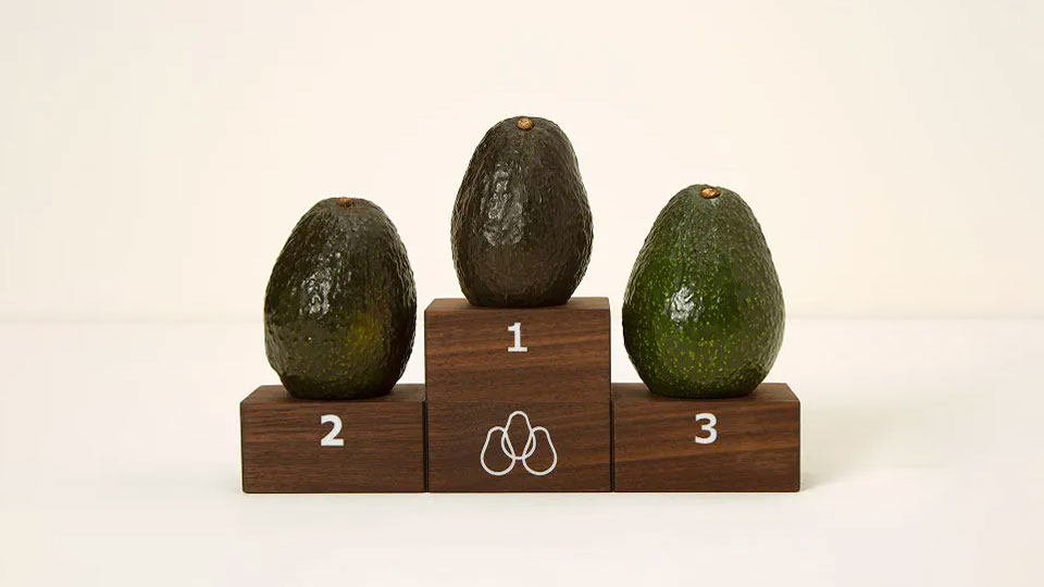 Avocado Ripeness Ranker Avocado Ripeness Ranker