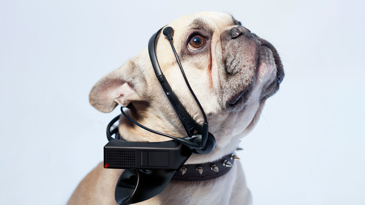 No More Woof - Dog to Human Translator