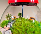 Vintage Gumball Machine Terrarium