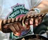 Bear Paw Meat Handler Forks