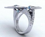 USS Enterprise Ring