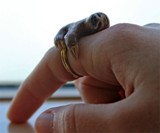 Sloth Ring