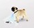 LED Dog Projector for Dog Collars