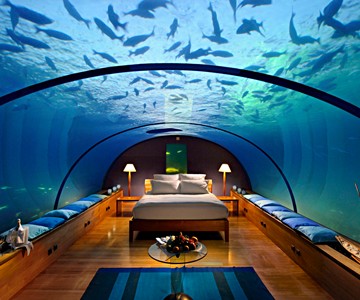 The Underwater Suite