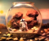 R2D2 Terrarium