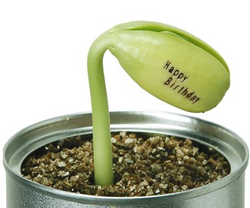 Message Bean Message Bean