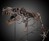 Real Partial T-Rex Skeleton Real Partial T-Rex Skeleton