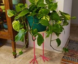 Bird Foot Plant Stand