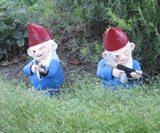 Combat Garden Gnome