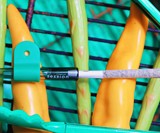 Essential Smoking Accessories by Session Goods