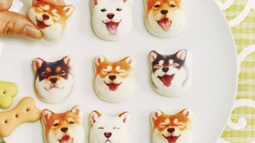 Shiba Inu Dog Marshmallows