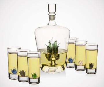 Agave Tequila Decanter Set & Glasses