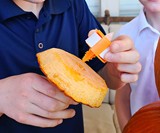 Stack-O-Lantern Pumpkin Stacking Kit