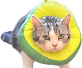 Slice of Bread Cat Cone