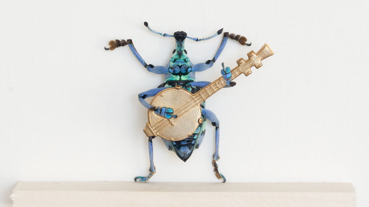 Beetle Playing the Banjo Taxidermy Beetle Playing the Banjo Taxidermy