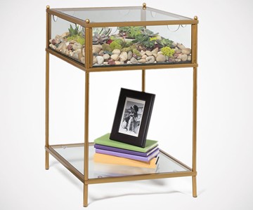 Terrarium Display End Table
