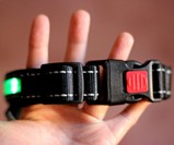 HALO LED Pet Collar
