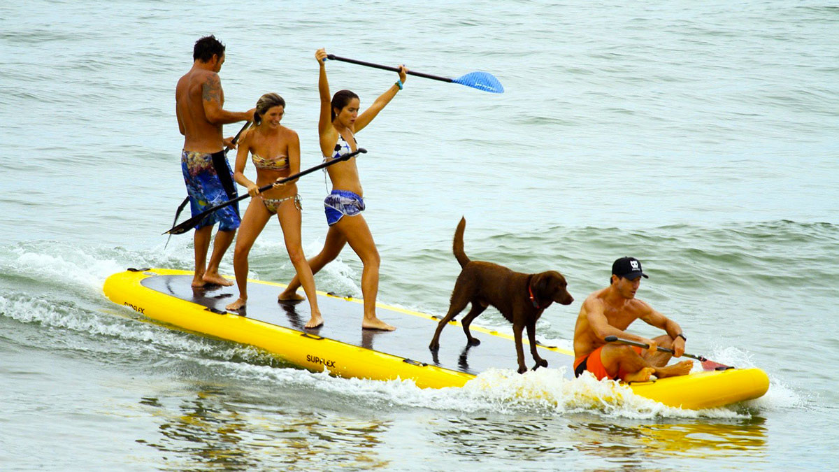 Paddleboard Paddleboard