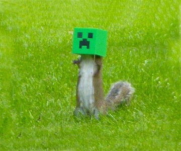Minecraft Squirrel Feeder