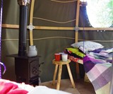 The Tree Tent Interior