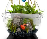 BioBubble Wonder Bubble & Tunnel Fish Tank