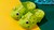 Wild Footwear: 10 Fun & Funky Animal Shoes Wild Footwear: 10 Fun & Funky Animal Shoes