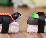 Sushi Cat Keychains