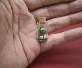 The World In A Bottle-4859