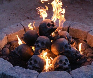 Skull Gas Fireplace Logs