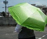 Vegetabrella Lettuce Umbrella