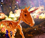 Unicorn Skeleton