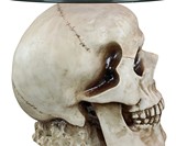 Lost Souls Gothic Skull Glass-Topped Table