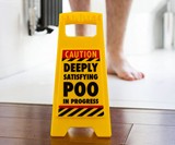 Deeply Satisfying Poo In Progress Bathroom Warning Sign