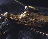 Brass Crocodile Clip