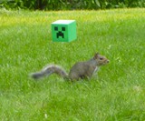 Minecraft Squirrel Feeder