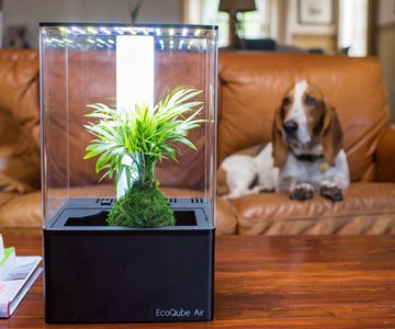 EcoQube Air Desktop Greenhouse EcoQube Air Desktop Greenhouse