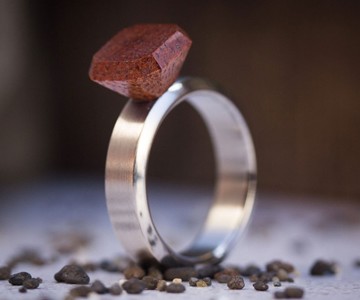 Wood & Titanium Engagement Ring Wood & Titanium Engagement Ring