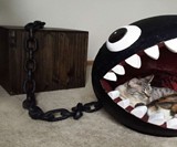 Chain Chomp Cat Bed