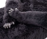 The Harambed