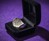 Solid Silver Anus