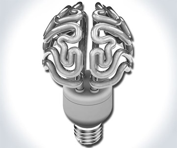 Insight - The Brain Bulb Insight - The Brain Bulb