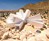 Joshua Tree Residence - Shipping Container Home