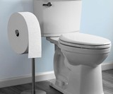 Charmin Forever Roll