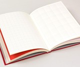 Grids & Guides: A Notebook for Visual Thinkers