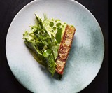 Scraps, Wilt & Weeds: Turning Wasted Food into Plenty