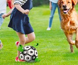 Dog Soccer Ball with Grab Tabs