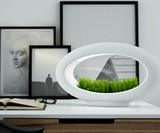 Grasslamp Modern Desktop Garden